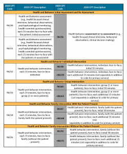 a page that says health and behavior initial assessment and file assessment