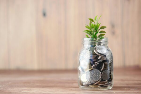 Savings Jar With a Plant in It