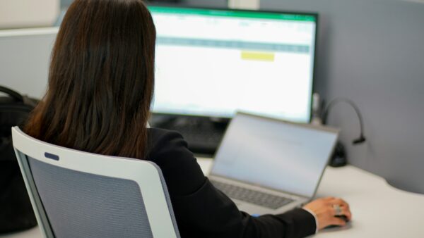 Woman Working on Spreadsheets