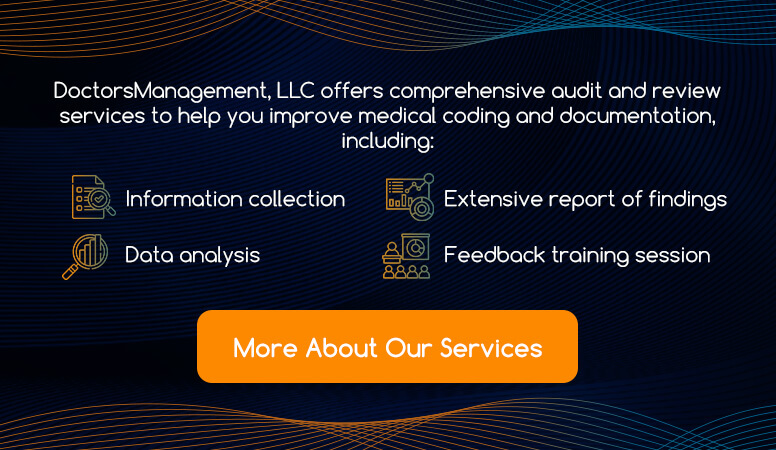 audit and review services